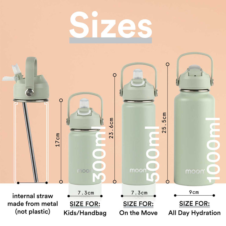 Water Bottle with Straw Lid