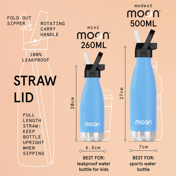 Water Bottle with Straw Lid